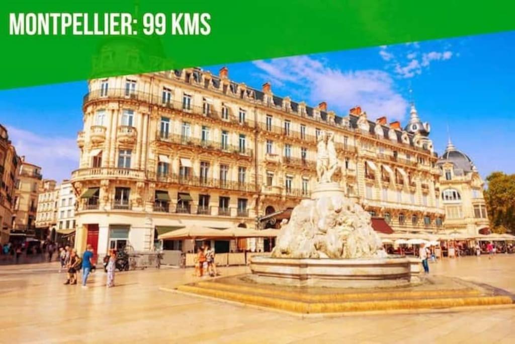 Апартаменти Le Noe - Ac Clim - Wi-Fi Авіньйон Екстер'єр фото